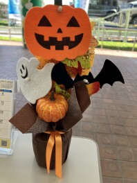 秋になりました！